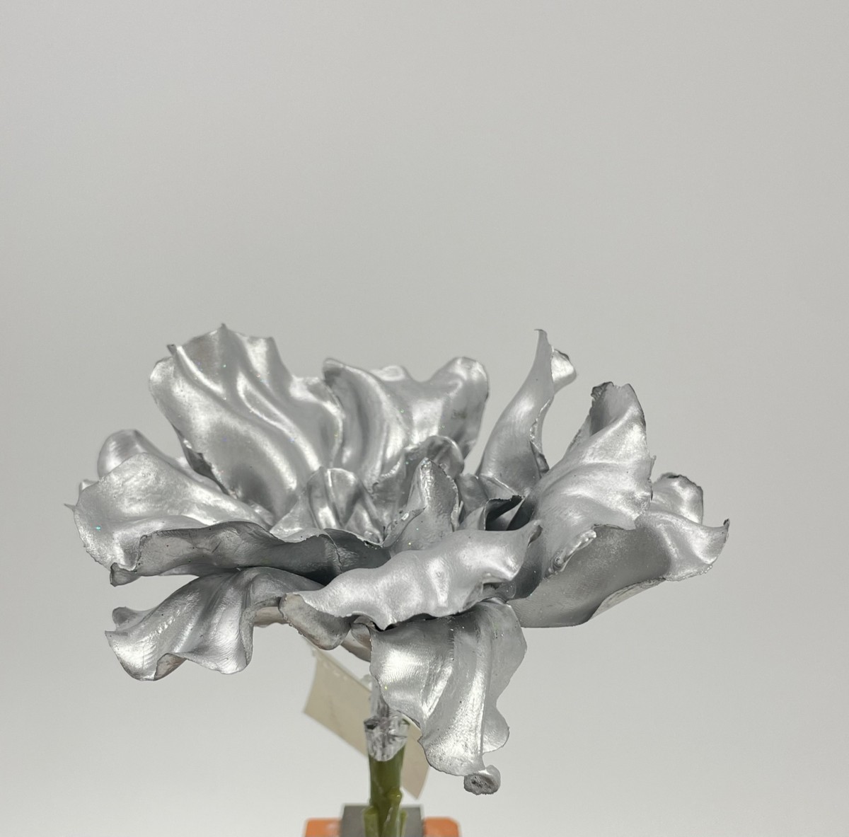 Суккулент ART18604  Интернет-магазин Feron Flower 