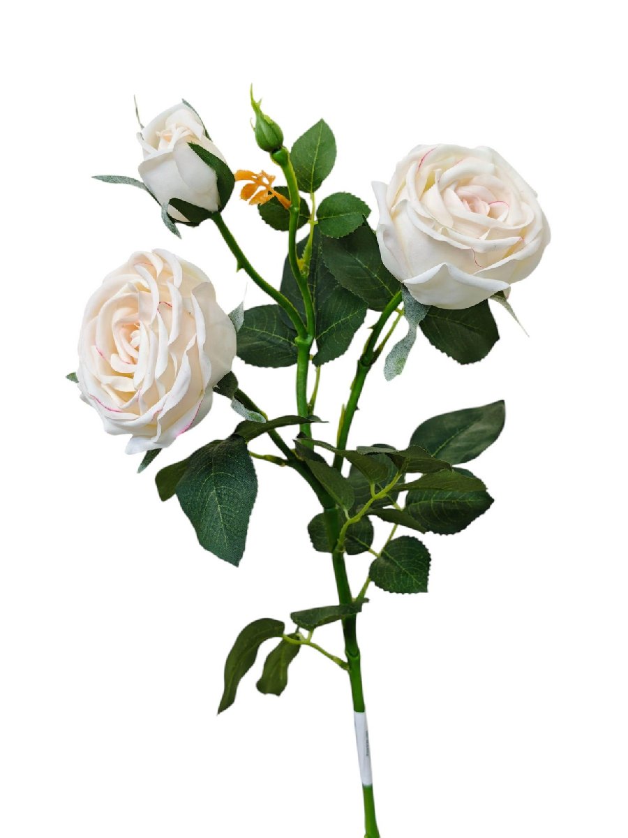 Роза 9144-1343  Интернет-магазин Feron Flower 