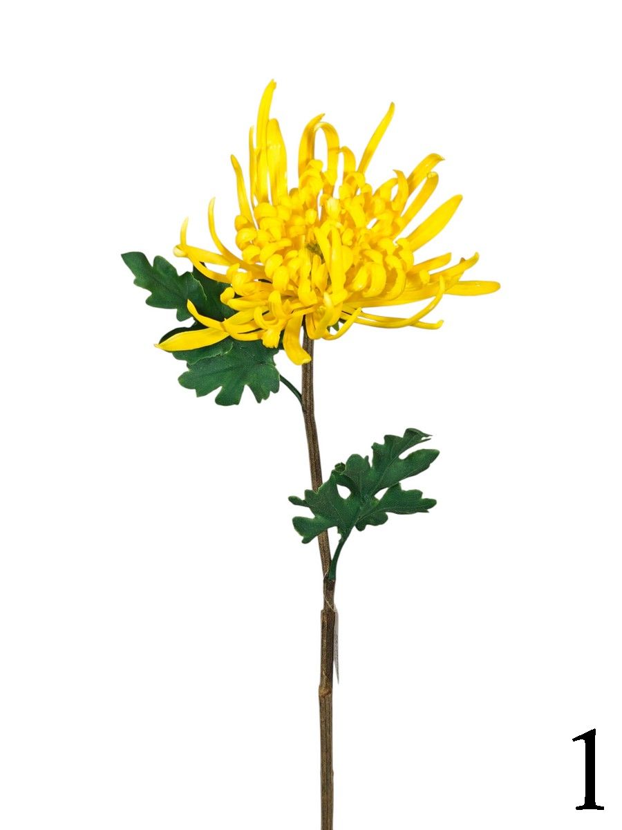 Хризантема FL-QH065  Интернет-магазин Feron Flower 