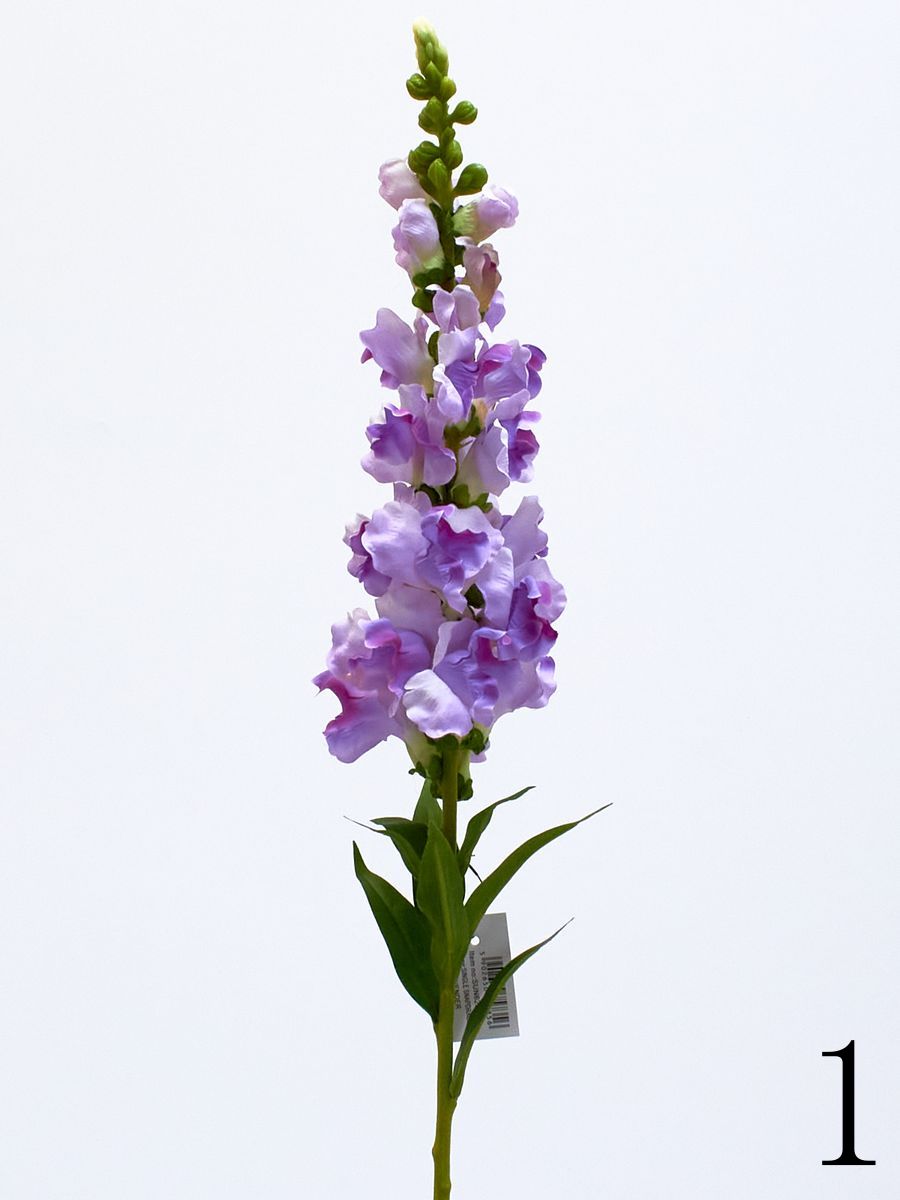 Дельфиниум SUN625  Интернет-магазин Feron Flower 