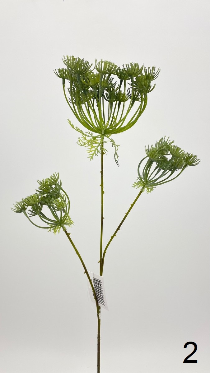 Укроп MR33-FY20  Интернет-магазин Feron Flower 