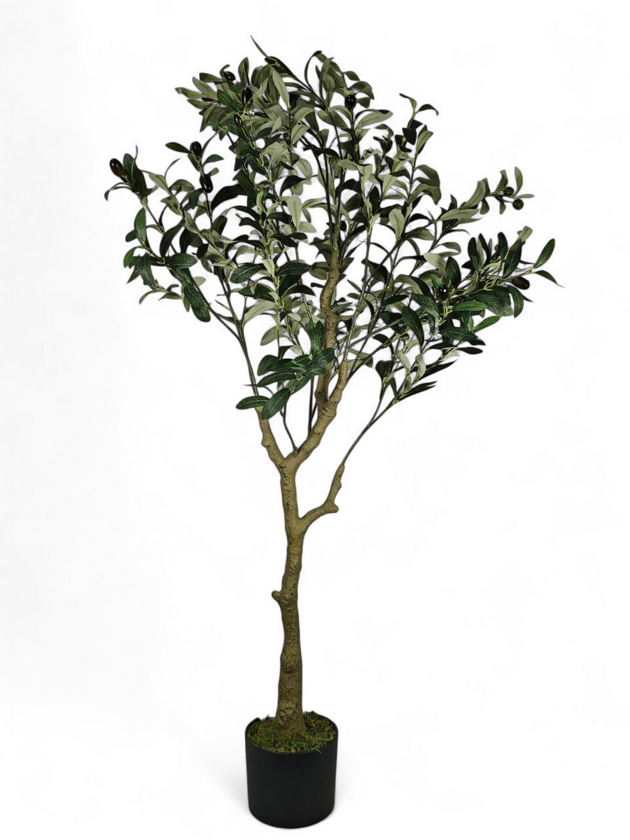 Дерево оливы FL-QH140  Интернет-магазин Feron Flower 
