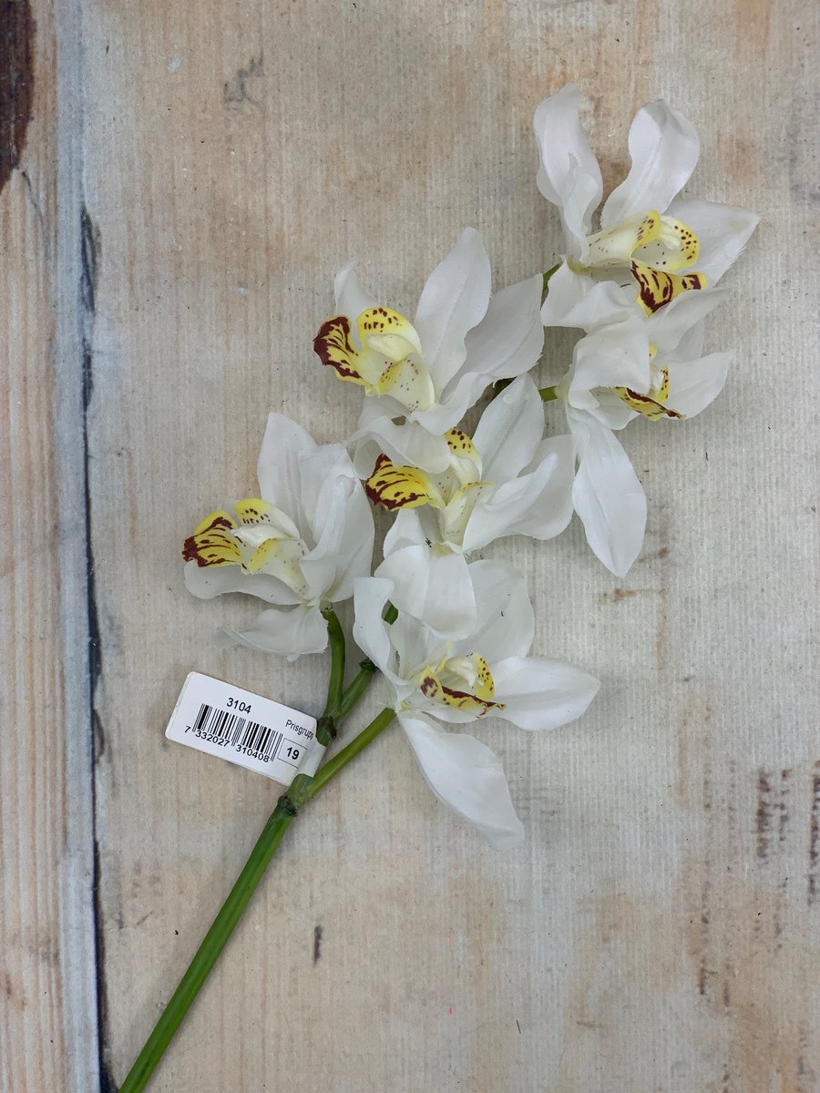 Орхидея 3106  Интернет-магазин Feron Flower 