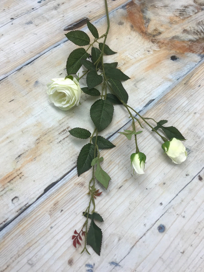 Роза SUN382  Интернет-магазин Feron Flower 