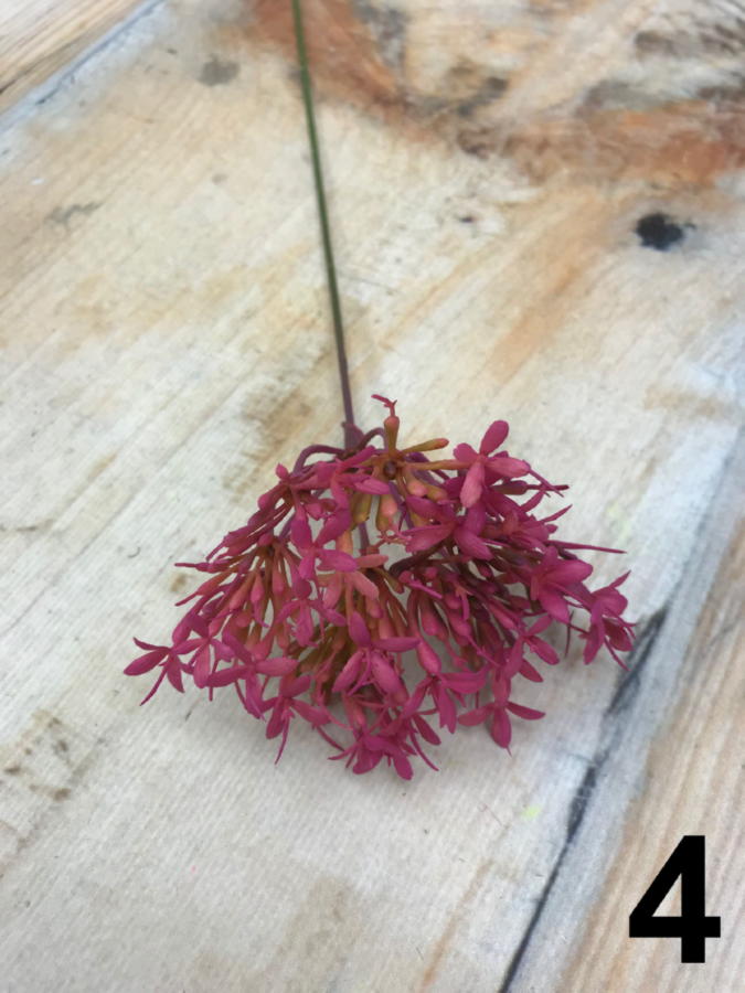 Ветка 35CAN13119641 *6  Интернет-магазин Feron Flower 