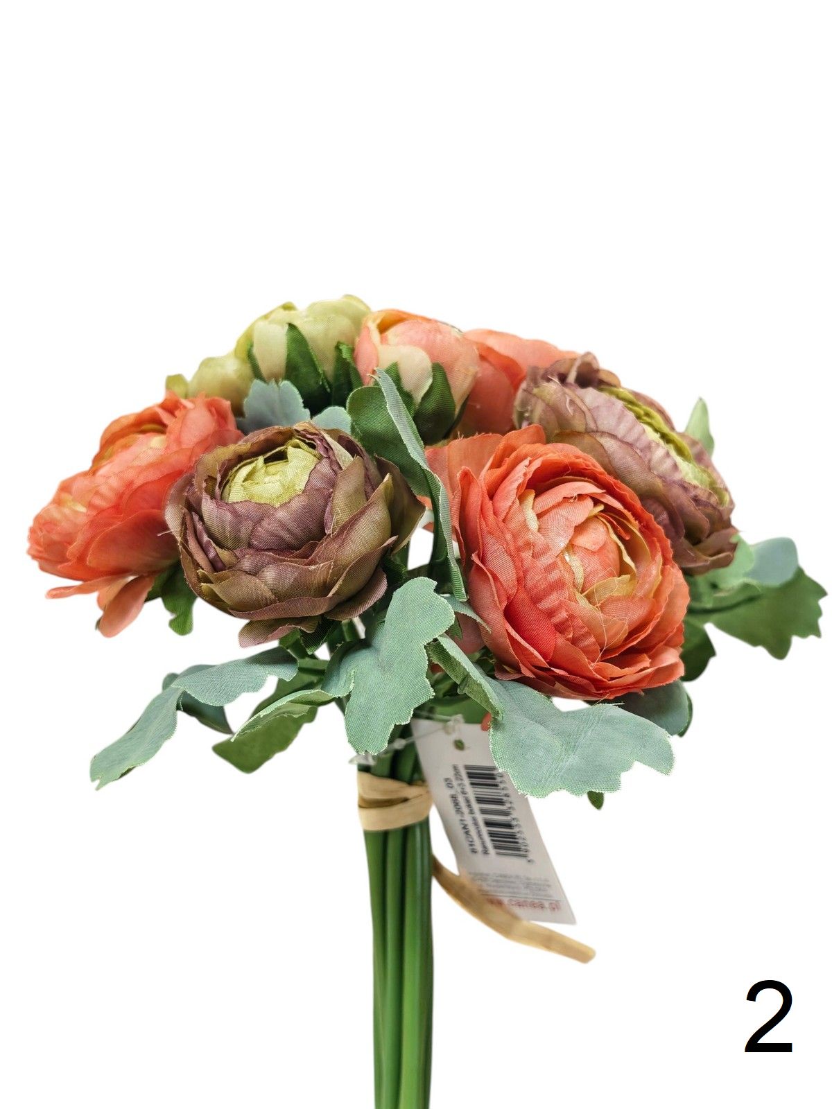 Ранункул 81CAN1-2068  Интернет-магазин Feron Flower 