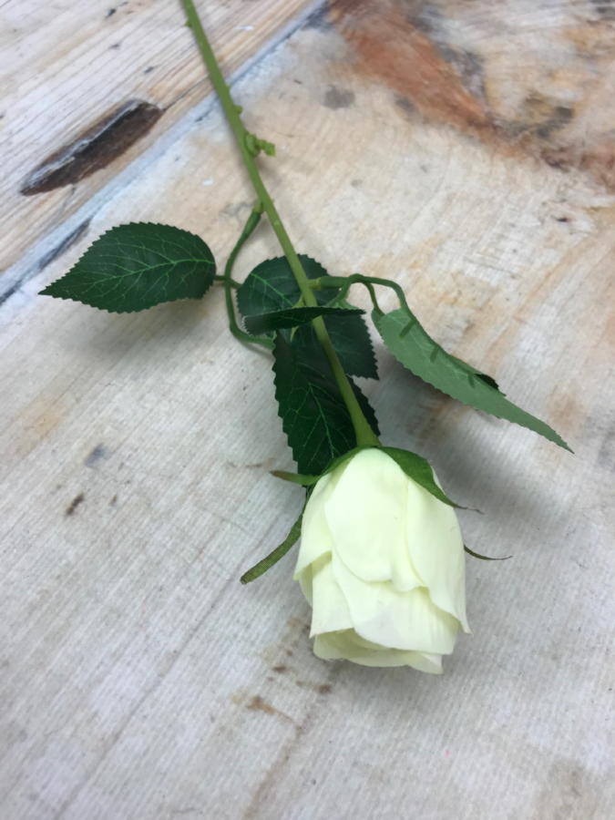 Роза MY85  Интернет-магазин Feron Flower 