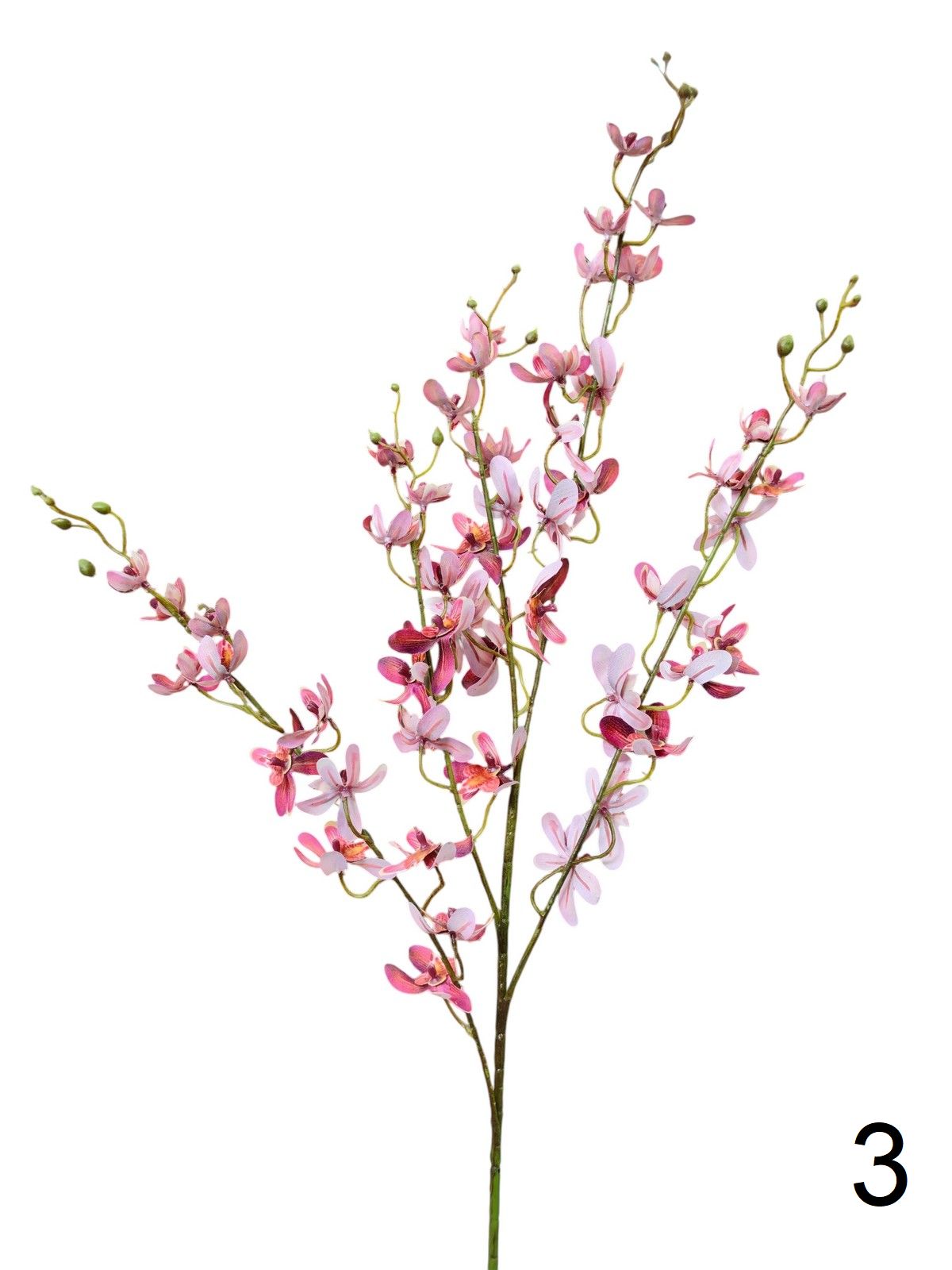 Орхидея  9144-1340  Интернет-магазин Feron Flower 