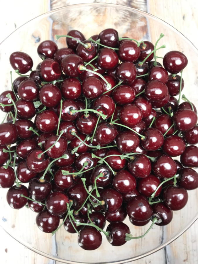 Вишня X-18  Интернет-магазин Feron Flower 