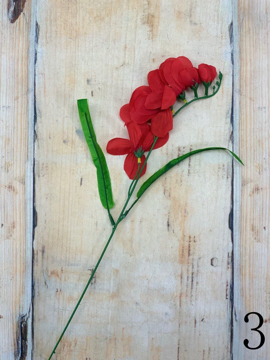 Фрезия K2547  Интернет-магазин Feron Flower 