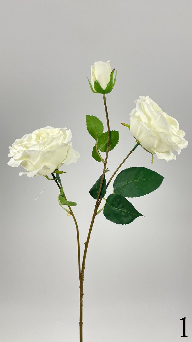 Роза кустовая FL-QH005  Интернет-магазин Feron Flower 