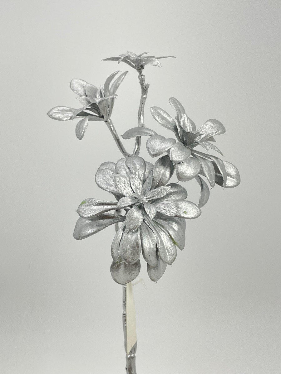 Суккулент ART18617  Интернет-магазин Feron Flower 