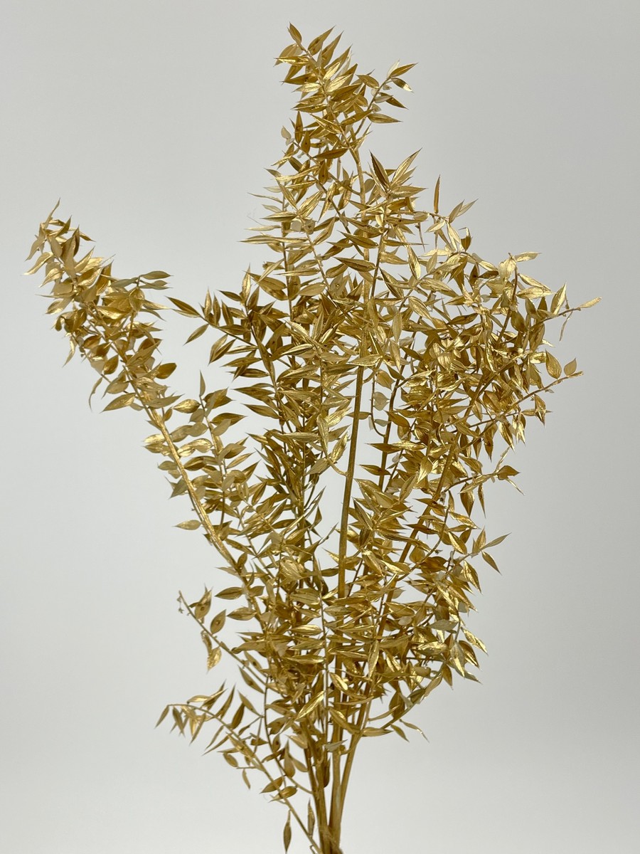 Рускус пучок 5-6 шт. 20gr   Интернет-магазин Feron Flower 