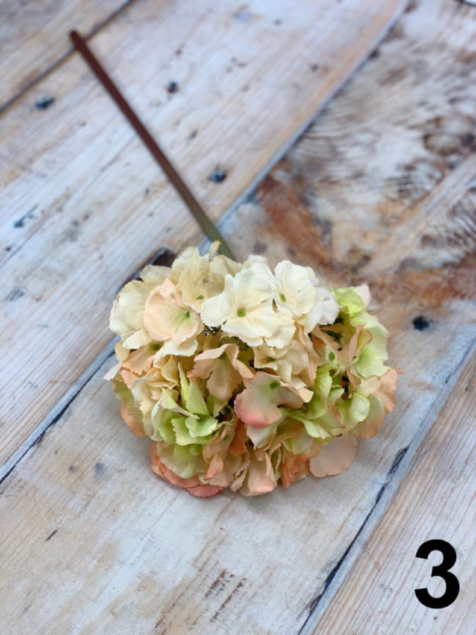 Гортензия 15CAN5796  Интернет-магазин Feron Flower 