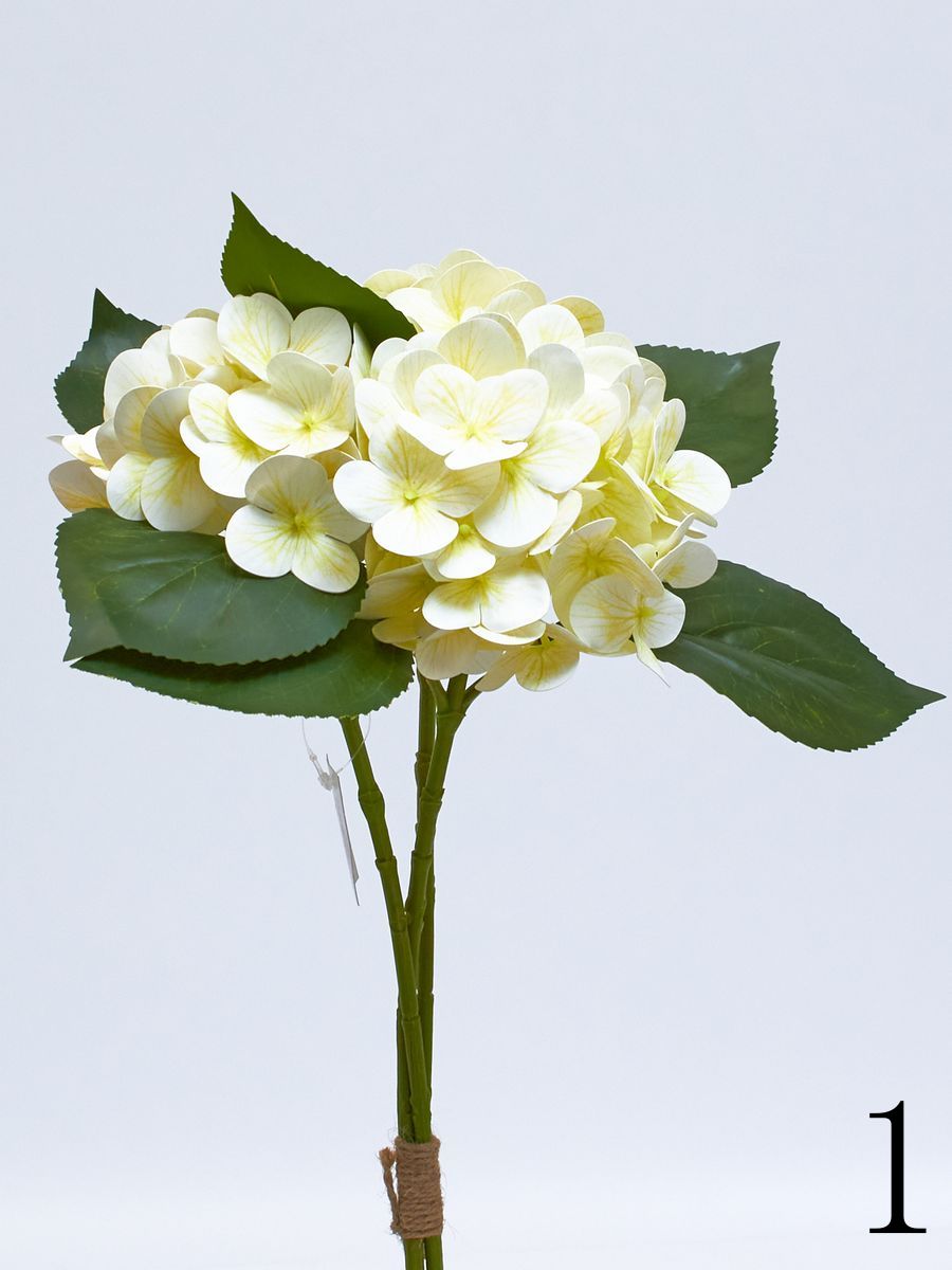 Гортензия K03980  Интернет-магазин Feron Flower 