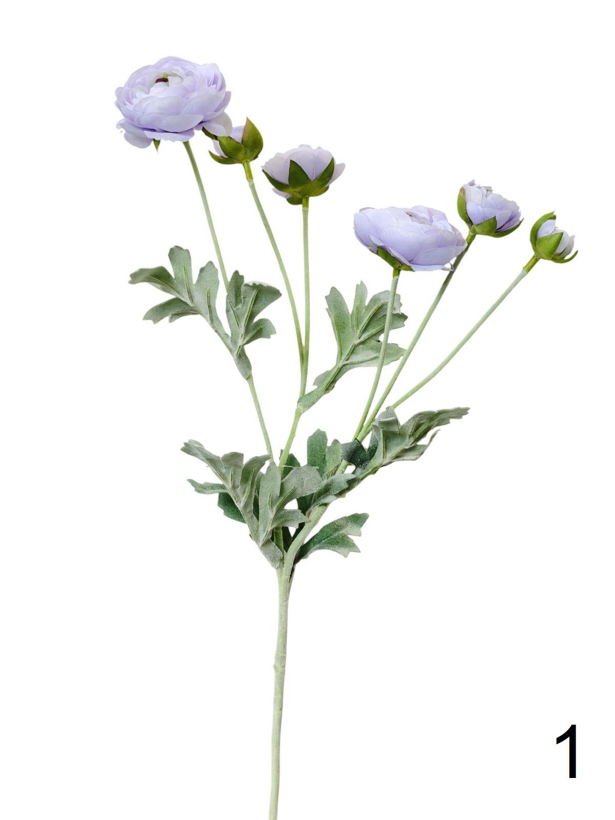 Рунункулус 9144-1330  Интернет-магазин Feron Flower 