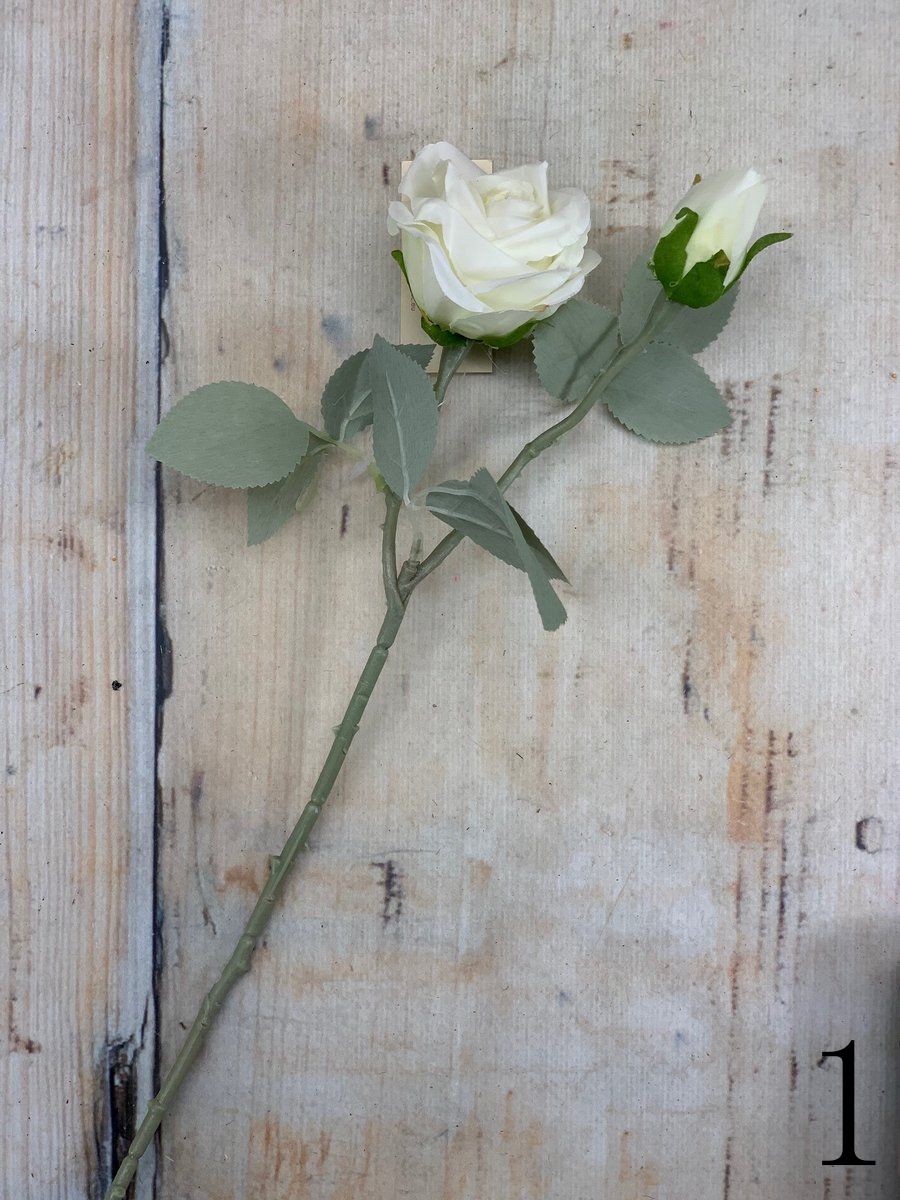 Роза 20KL767  Интернет-магазин Feron Flower 