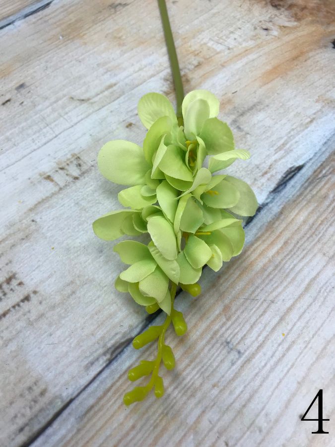 Фрезия JM014  Интернет-магазин Feron Flower 