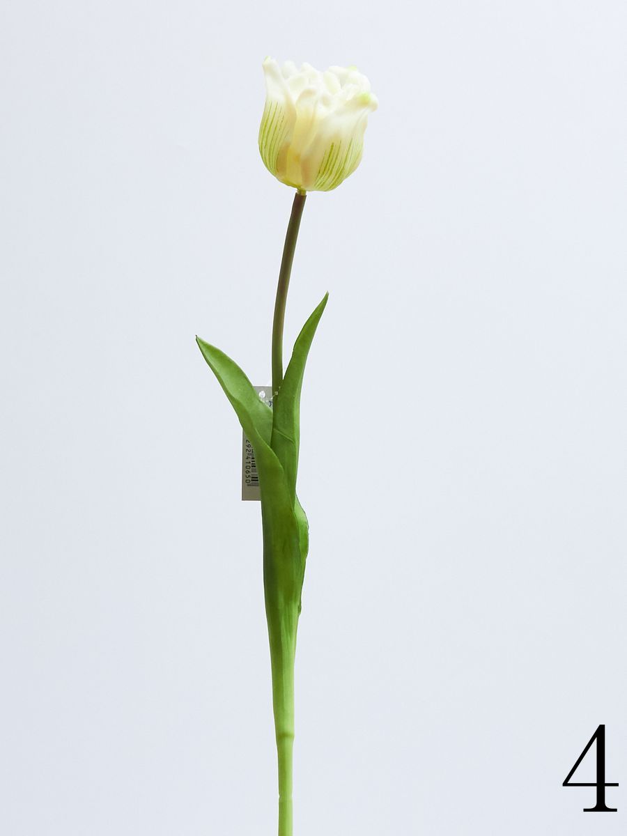 Тюльпан 12522858  Интернет-магазин Feron Flower 