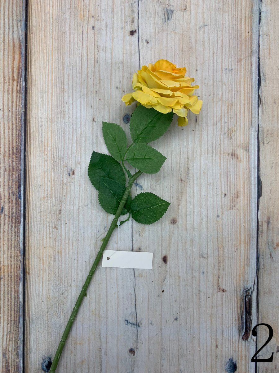 Роза 70505  Интернет-магазин Feron Flower 