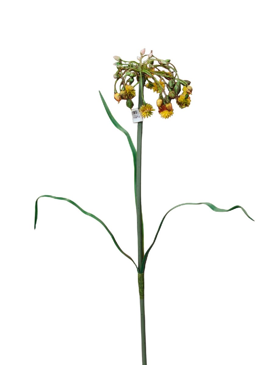 Колючка 552  Интернет-магазин Feron Flower 