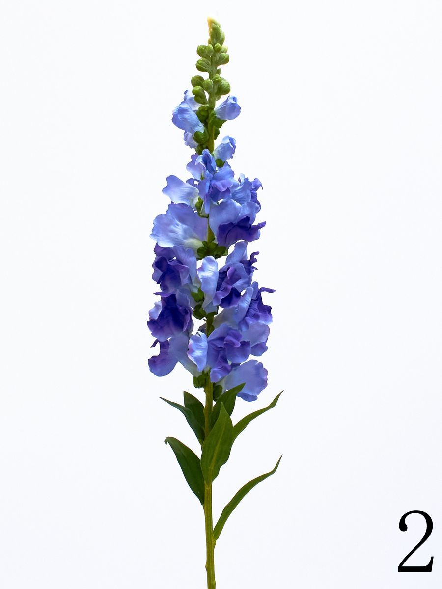 Дельфиниум SUN625  Интернет-магазин Feron Flower 