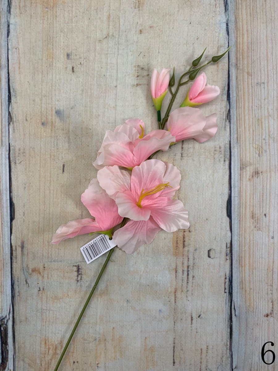 Гладиолус 2630  Интернет-магазин Feron Flower 