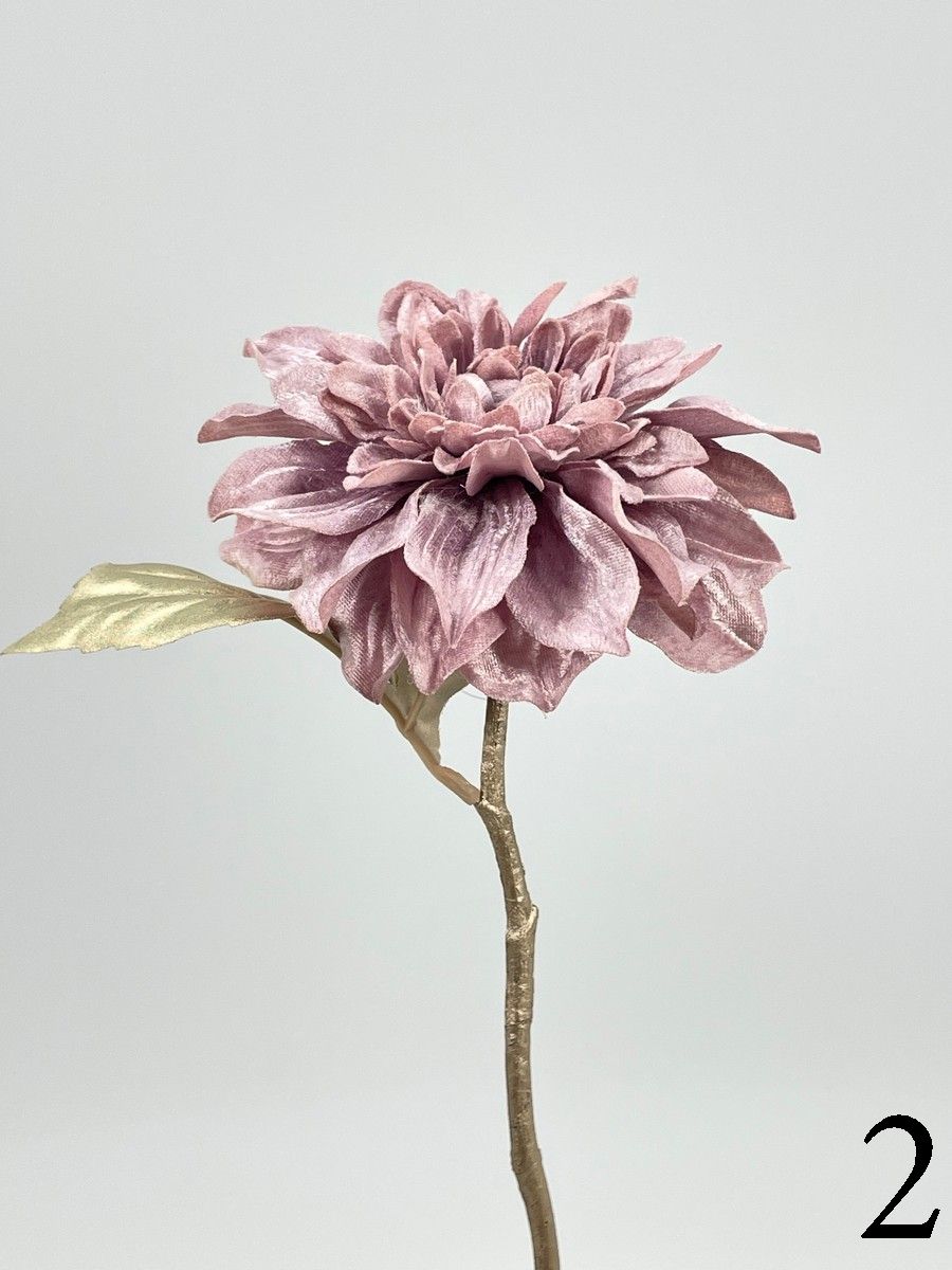 Далия 209CAN1052  Интернет-магазин Feron Flower 