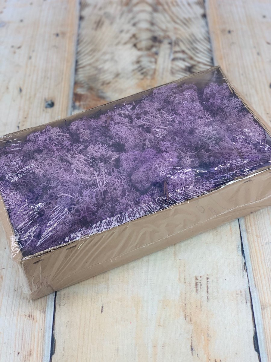 Мох 500gr LT.PURPLE Z195  Интернет-магазин Feron Flower 