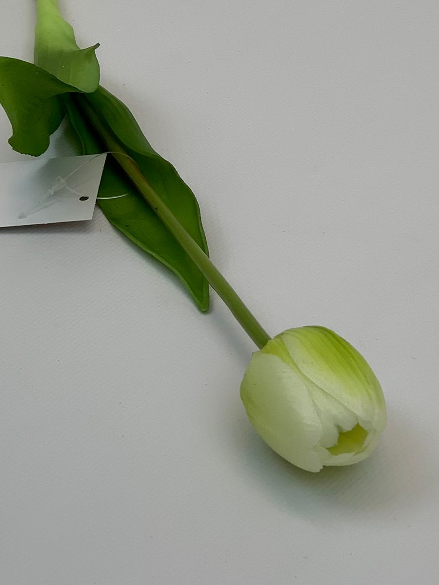 Тюльпан K04029  Интернет-магазин Feron Flower 