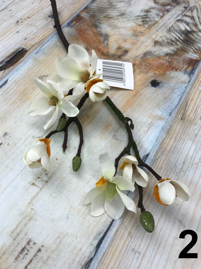 Магнолия 133122  Интернет-магазин Feron Flower 