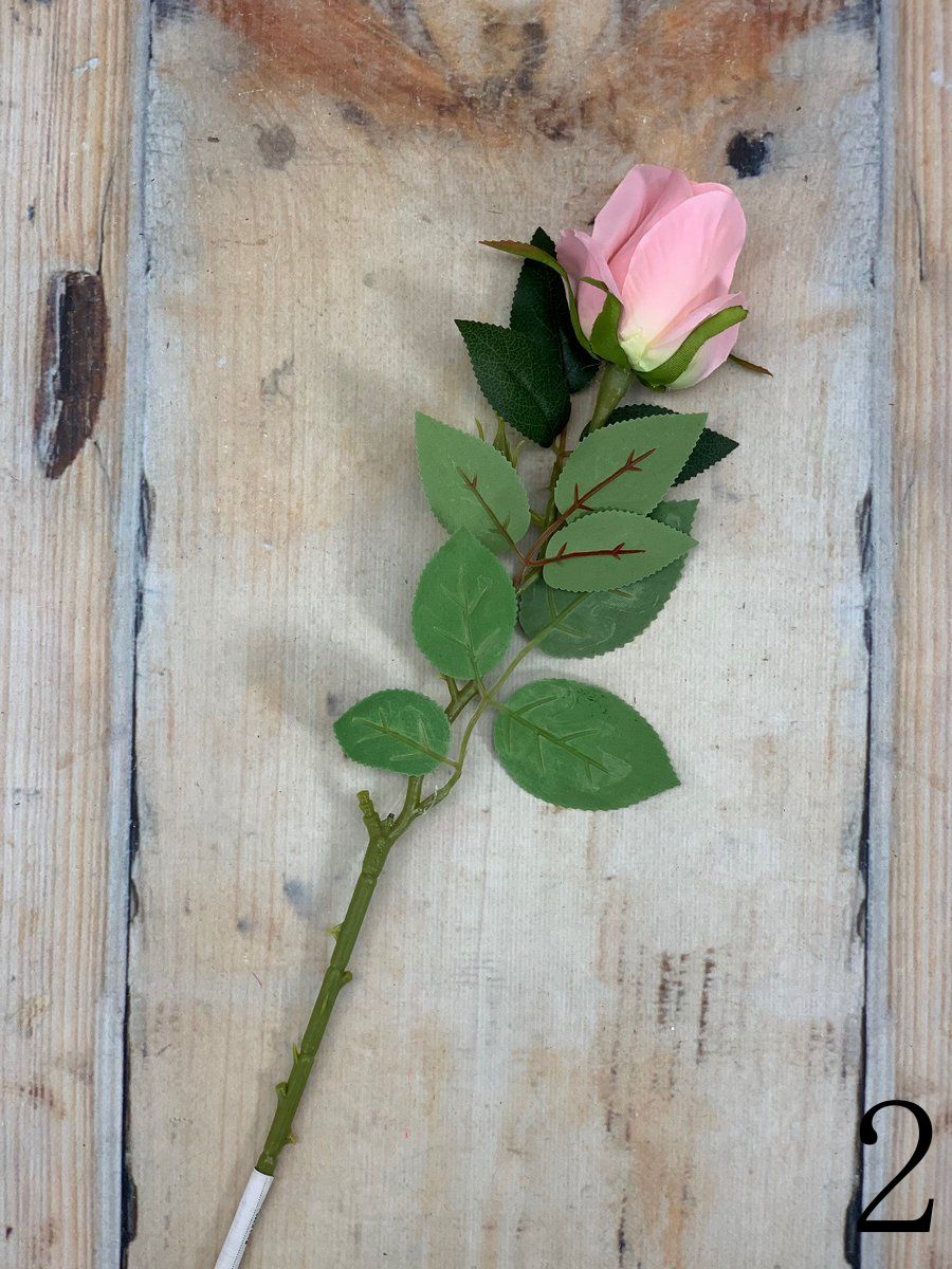 Роза K343  Интернет-магазин Feron Flower 