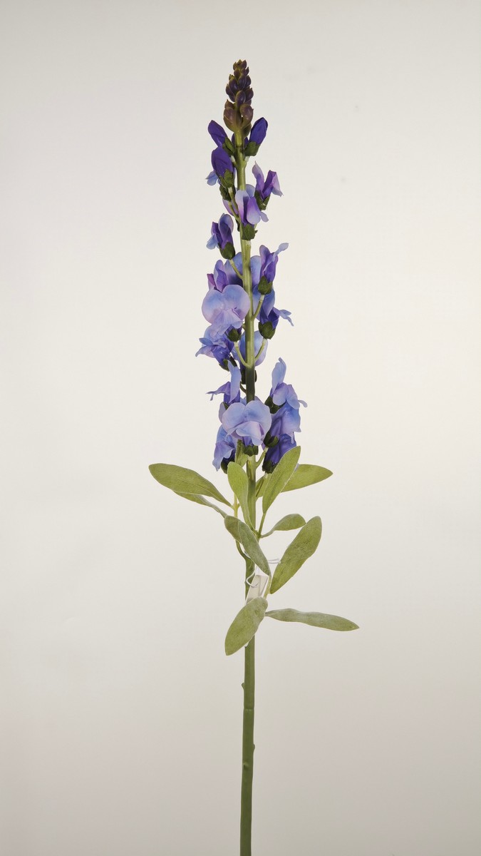 Львинный зев REN-237 сиреневый   Интернет-магазин Feron Flower 
