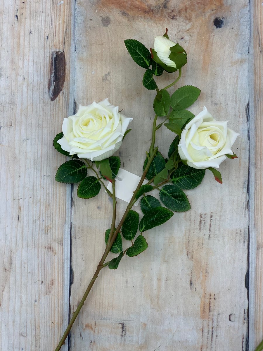 Роза K04052  Интернет-магазин Feron Flower 