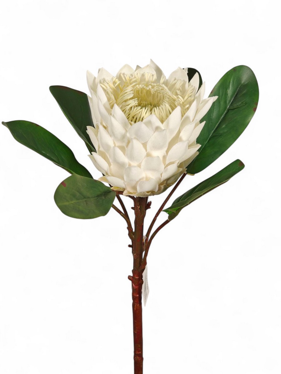 Протея FL-QH110  Интернет-магазин Feron Flower 