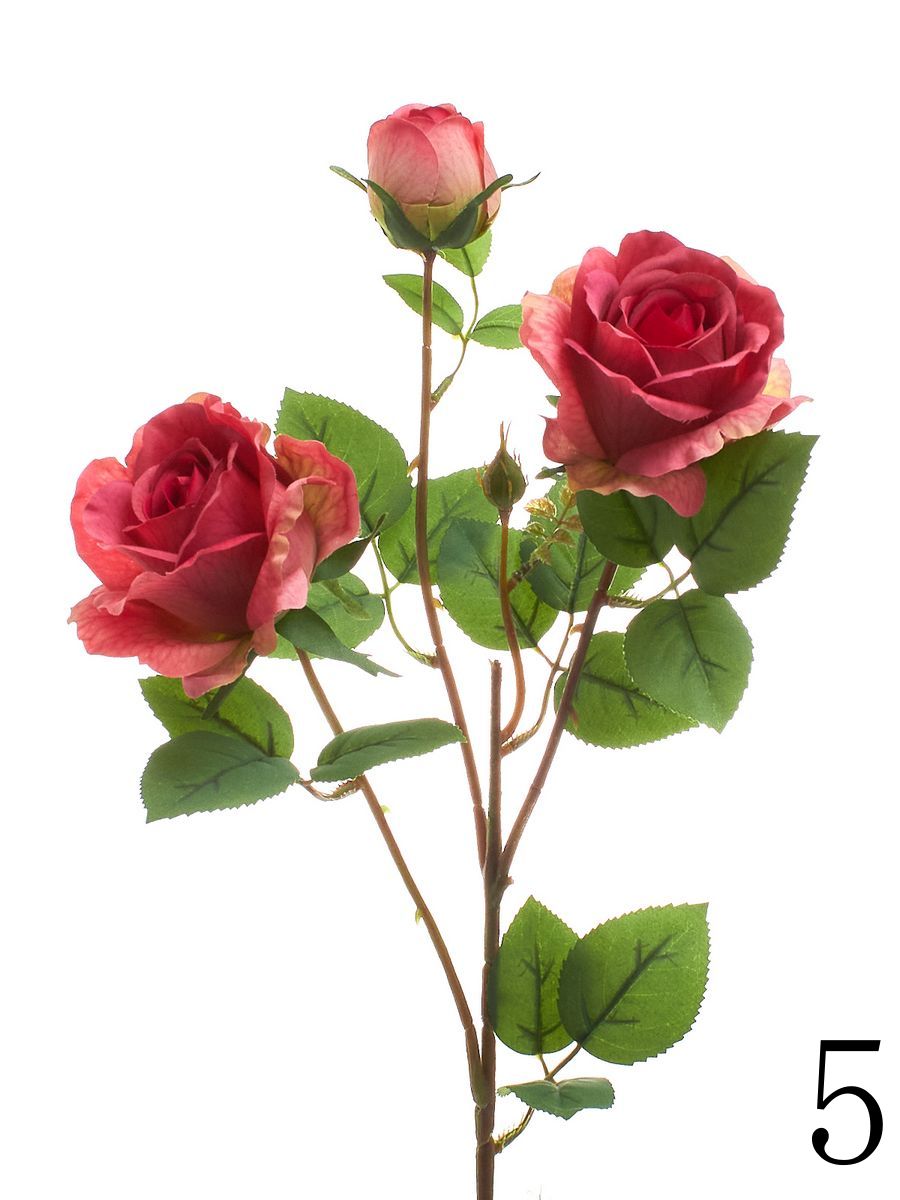 Роза HD9198  Интернет-магазин Feron Flower 