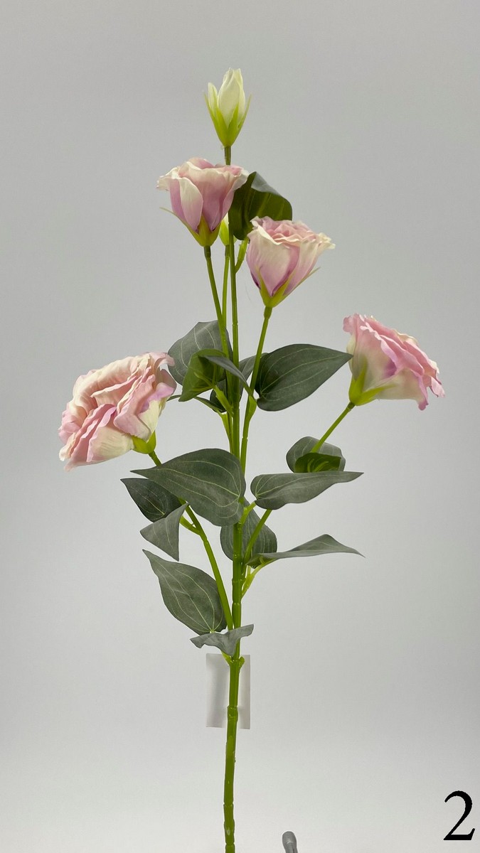 Эустома FL-QH042  Интернет-магазин Feron Flower 