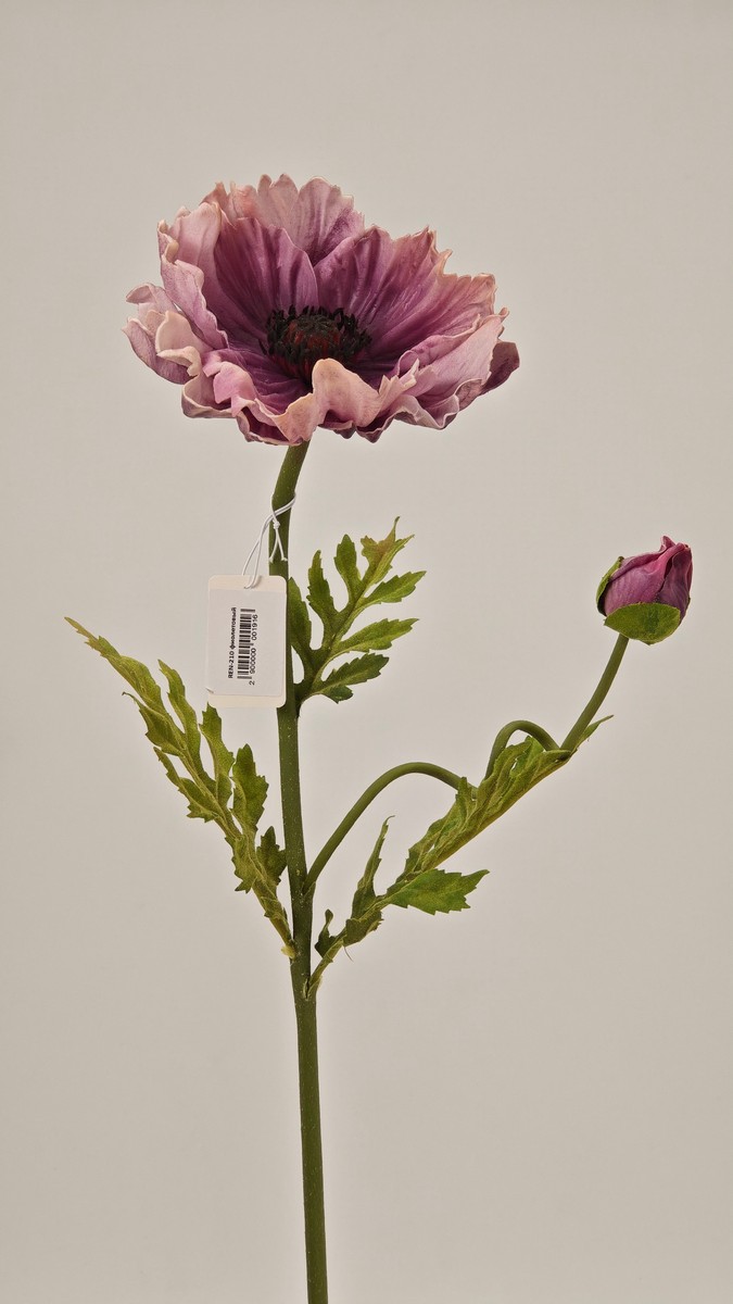 Мак REN-210 фиолетовый  Интернет-магазин Feron Flower 