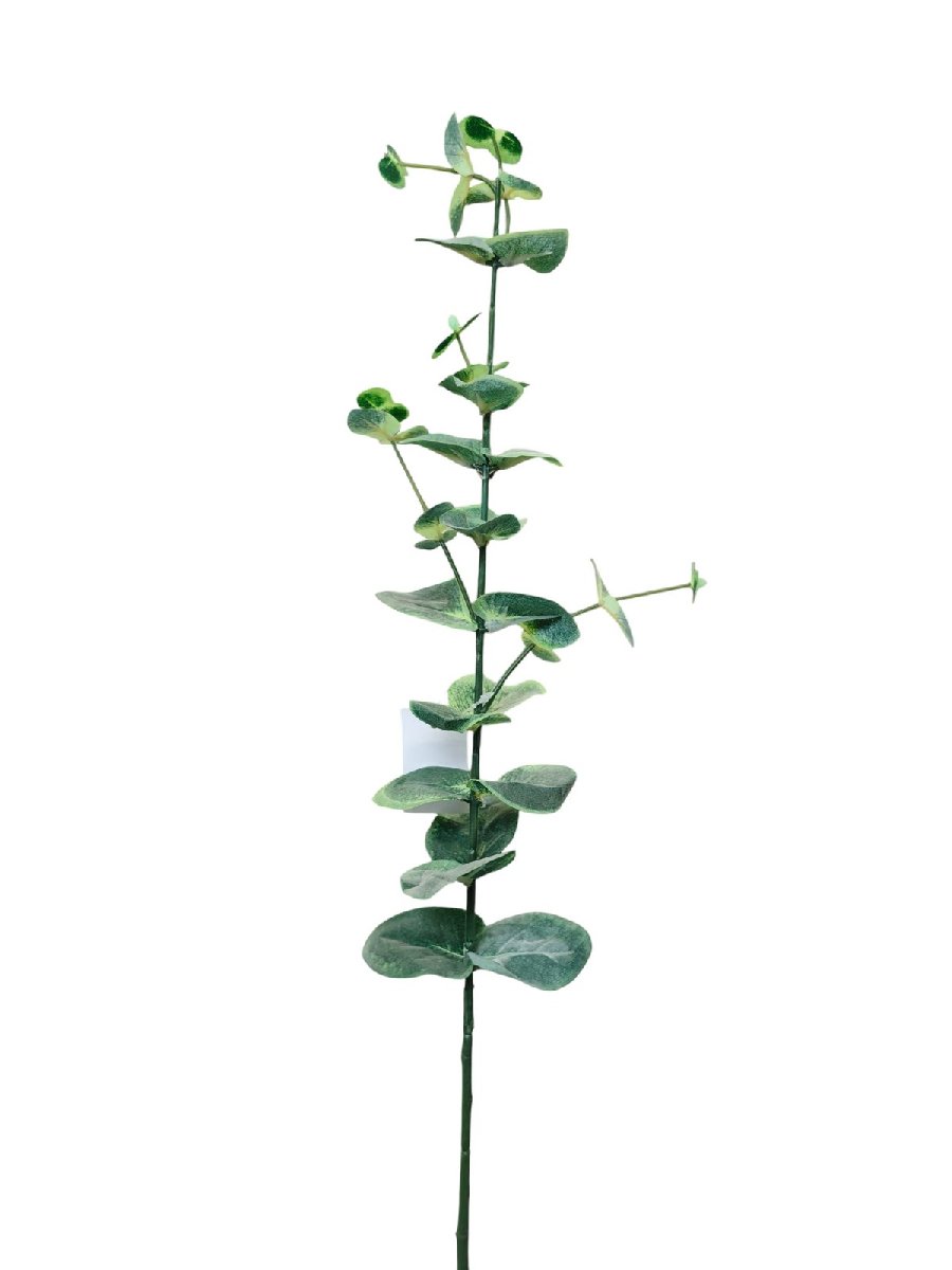 Эвкалипт LIU363  Интернет-магазин Feron Flower 