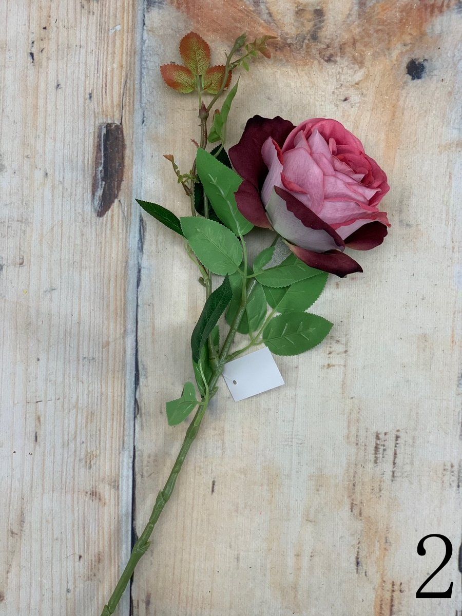 Роза ART221  Интернет-магазин Feron Flower 