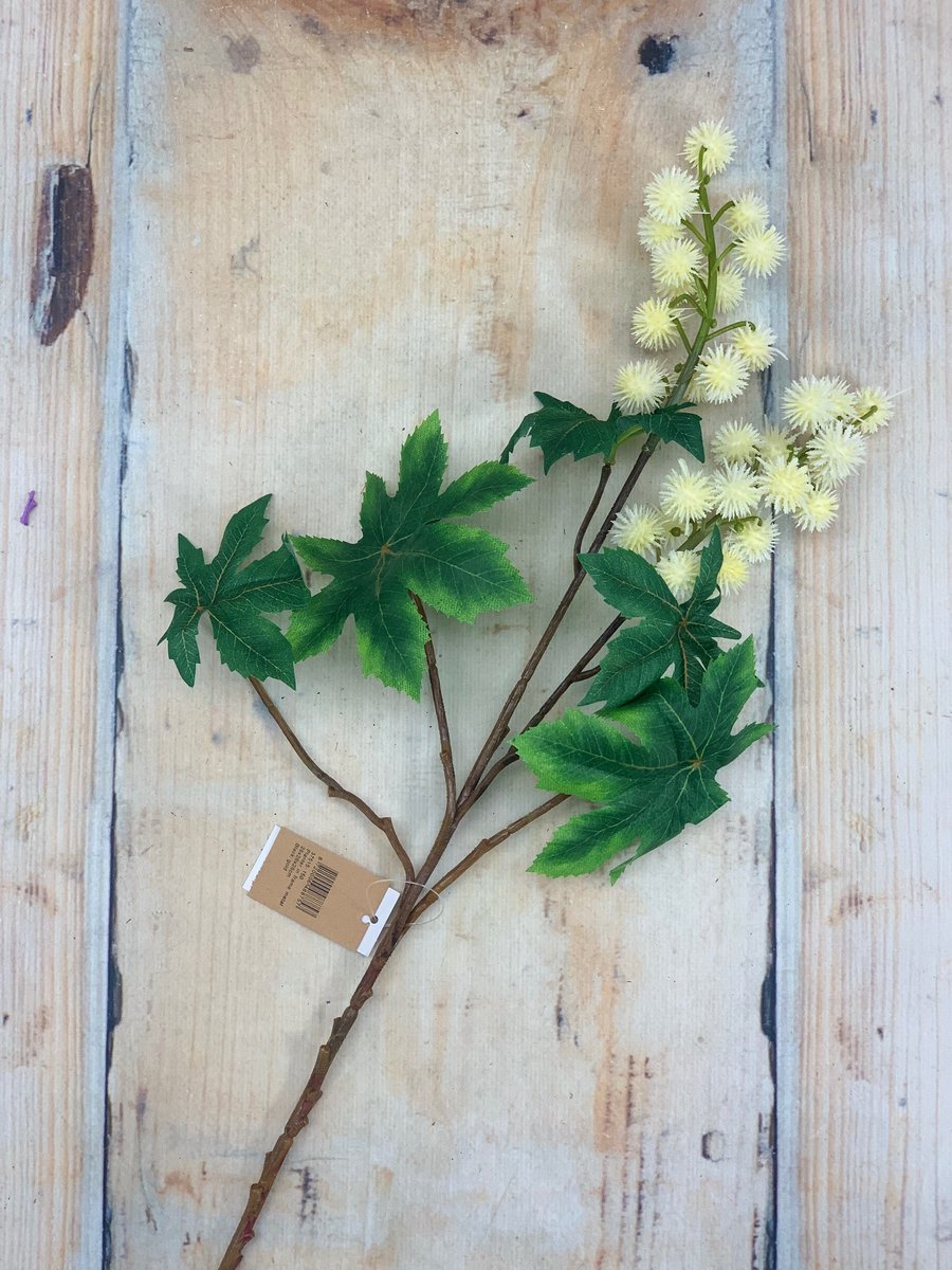 Букет зелени 256CAN2966  Интернет-магазин Feron Flower 