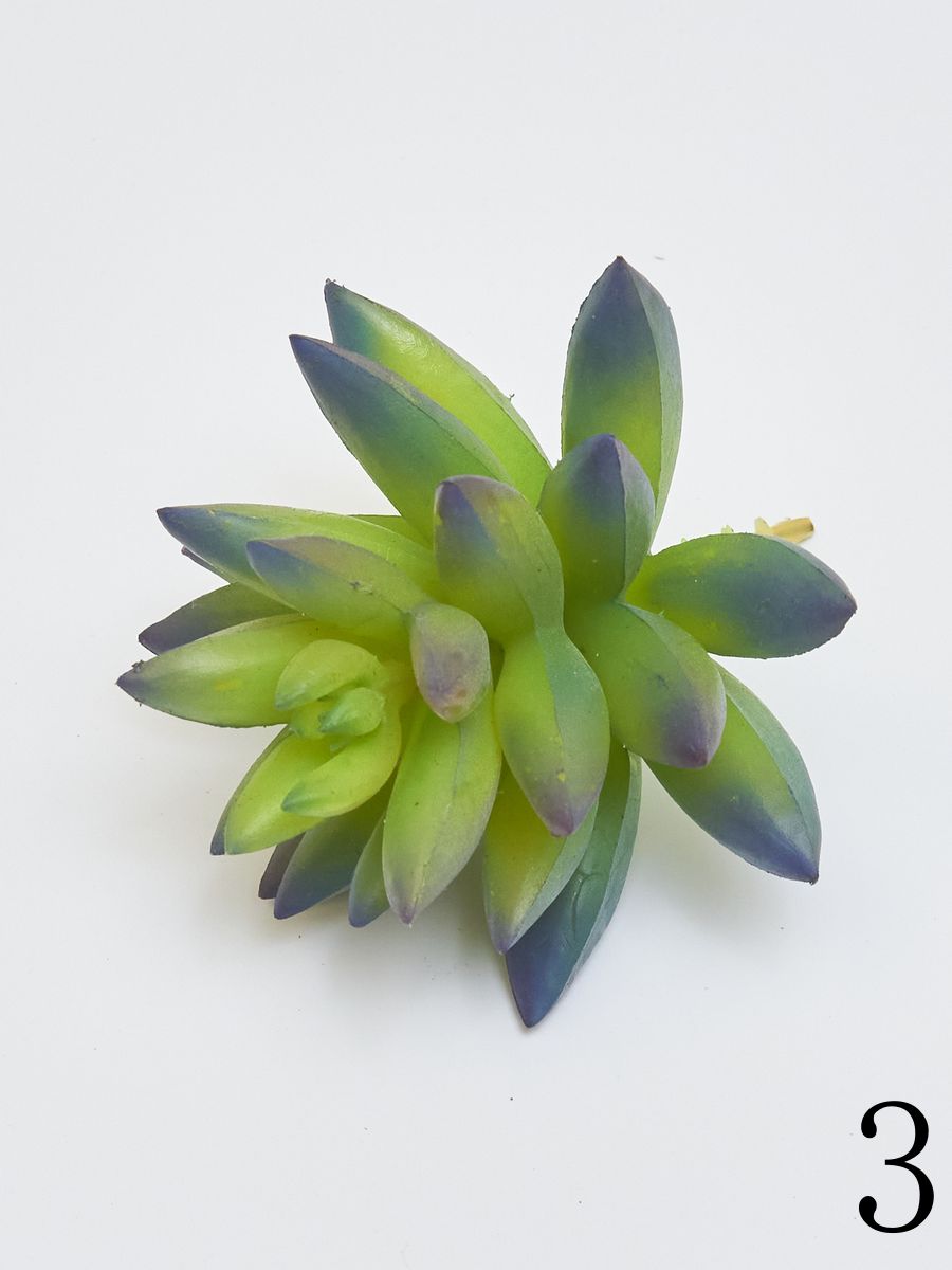 Суккулент YD237  Интернет-магазин Feron Flower 