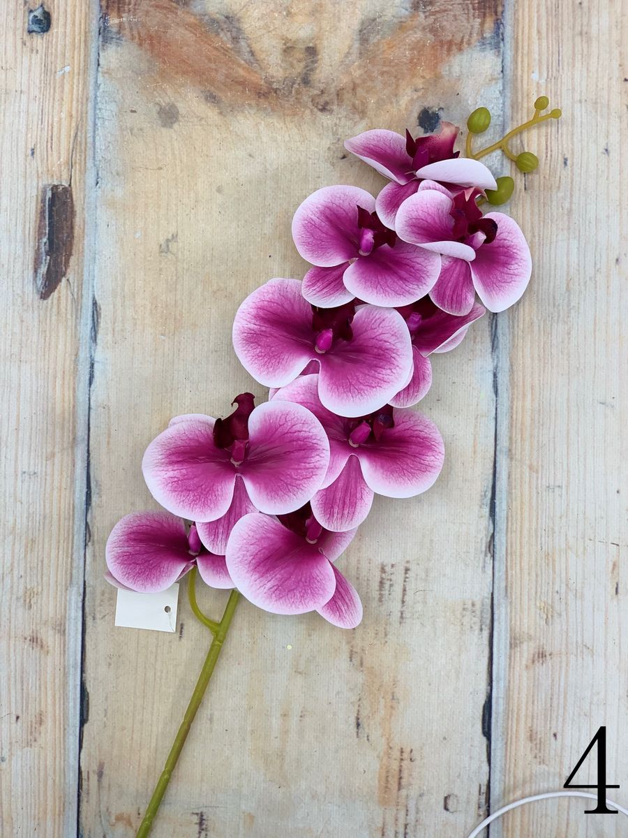 Орхидея AJ48131  Интернет-магазин Feron Flower 