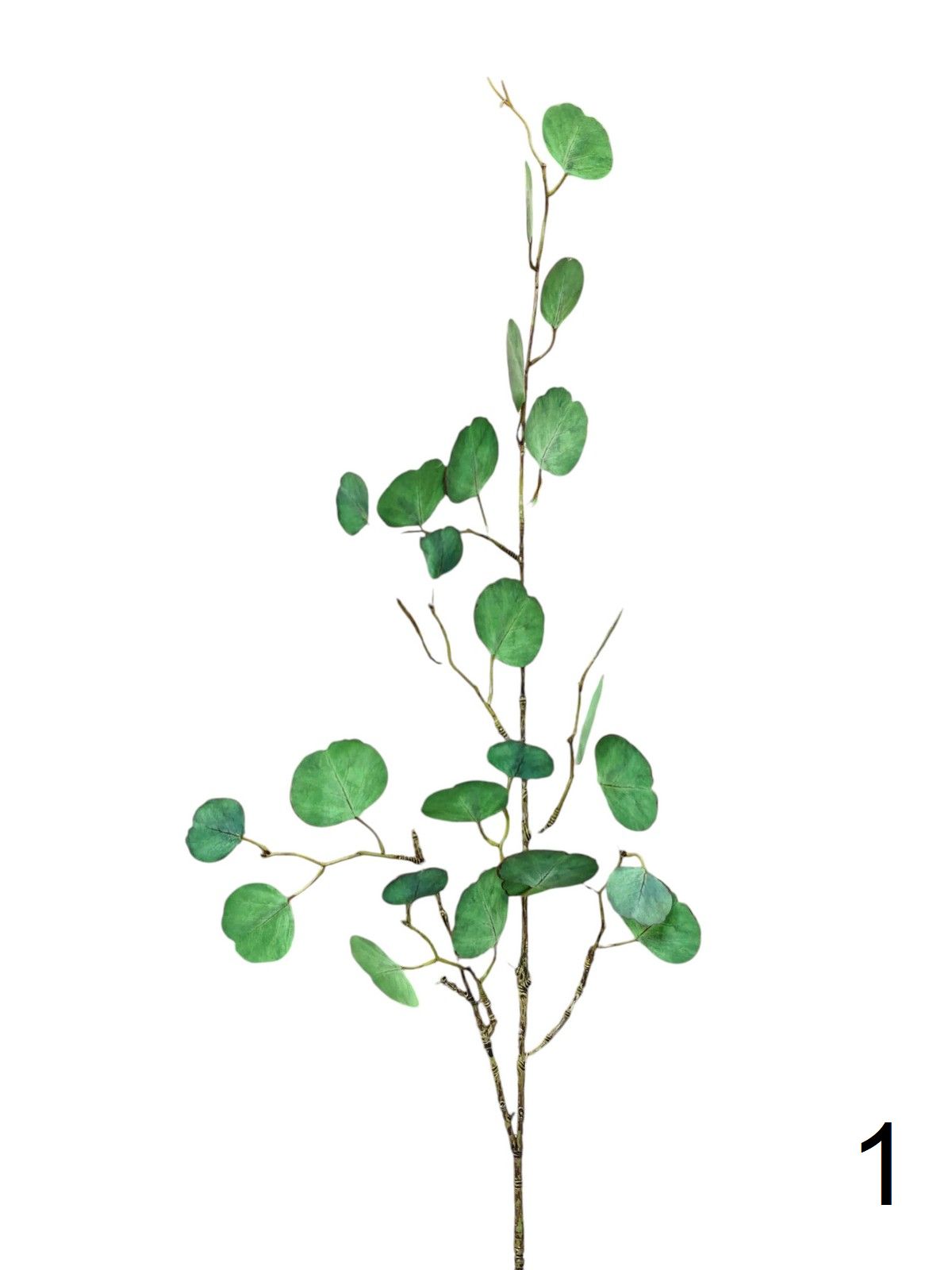 Эвкалипт FL-QH057  Интернет-магазин Feron Flower 