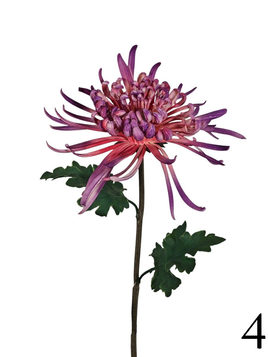 Хризантема FL-QH065  Интернет-магазин Feron Flower 