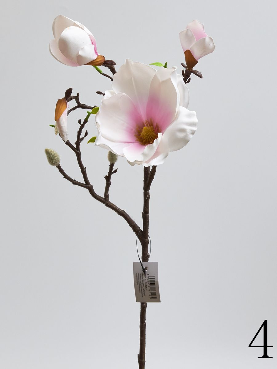 Магнолия SUN404  Интернет-магазин Feron Flower 