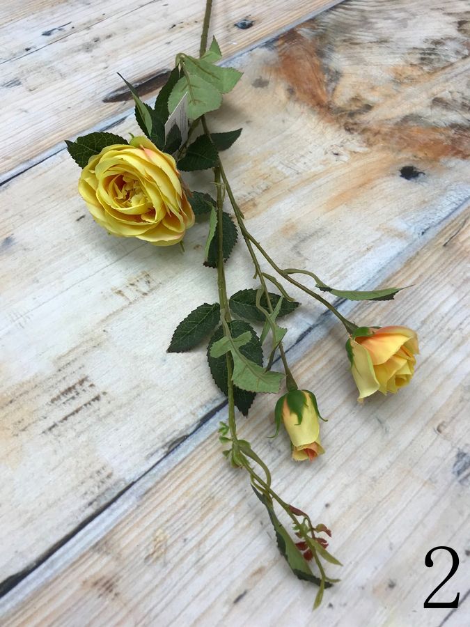Роза SUN382  Интернет-магазин Feron Flower 