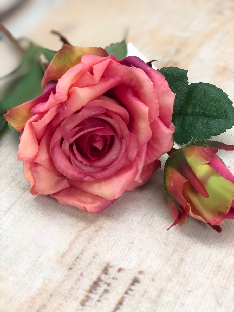 Роза VIP921  Интернет-магазин Feron Flower 