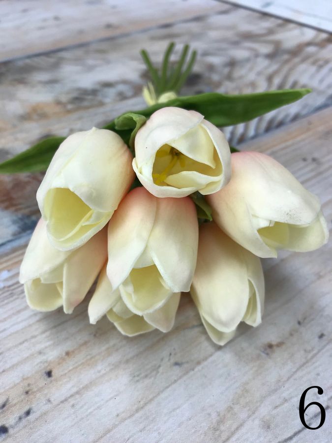 Тюльпан 81CAN056  Интернет-магазин Feron Flower 