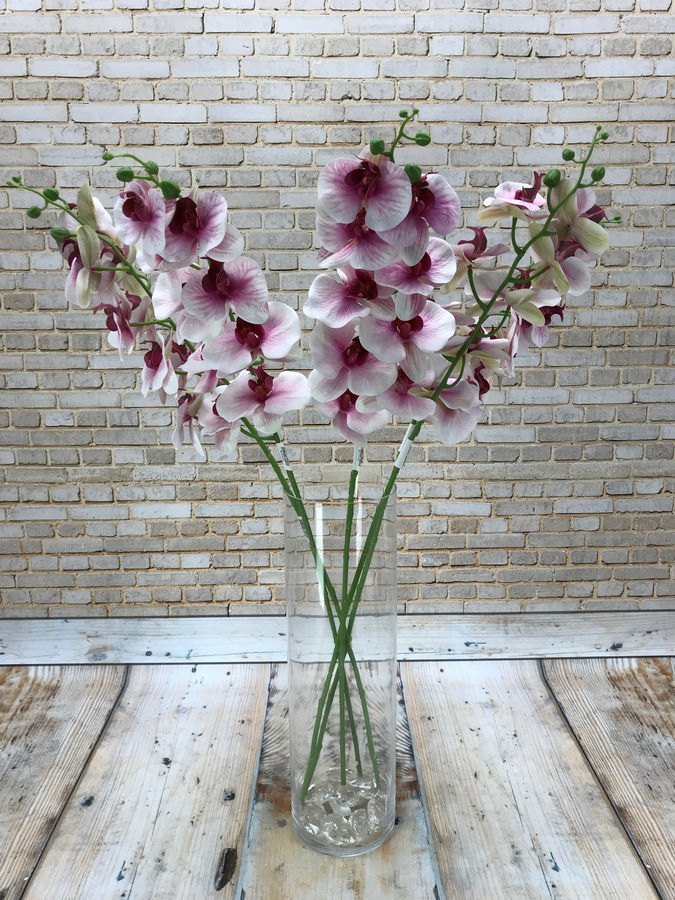 Орхидея GK186  Интернет-магазин Feron Flower 